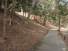 20120402sekinomori2.jpg