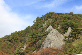 20120407hijirigaiwa2.jpg