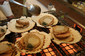 20130309umakappe4.jpg