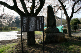 20140419sakura2.jpg